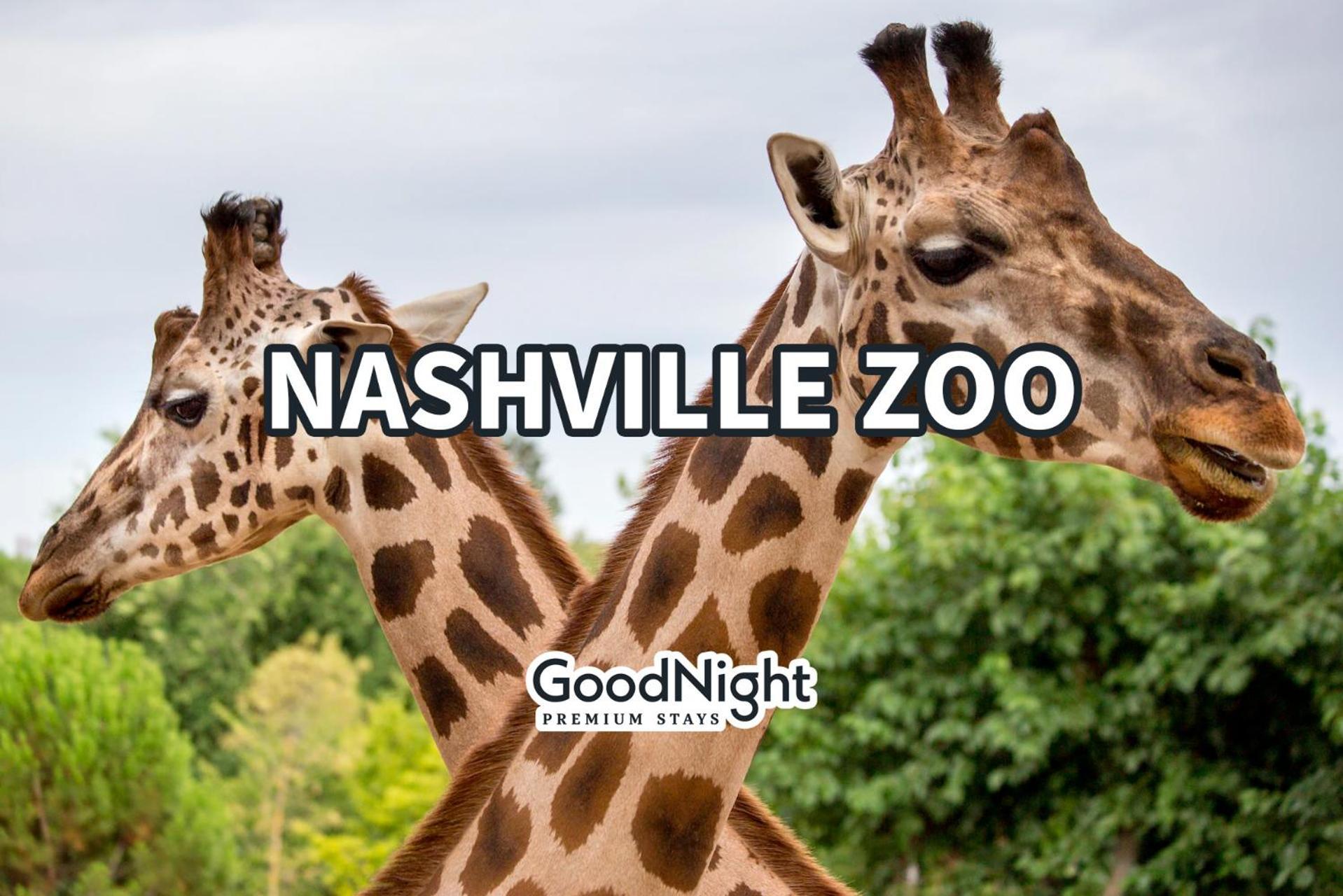 Edgehill Duo - 2 Townhomes - Mins Vanderbilt University Nashville Esterno foto